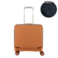 PALE ORANGE