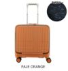 PALE ORANGE