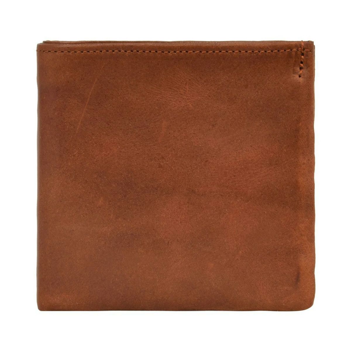 【40】キャメル