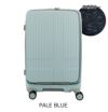 PALE BLUE