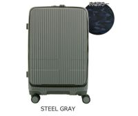 STEEL GRAY