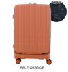 PALE ORANGE