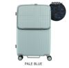 PALE BLUE