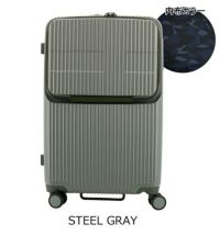 STEEL GRAY