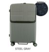 STEEL GRAY