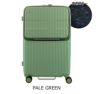 PALE GREEN