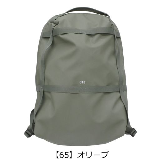 【65】オリーブ