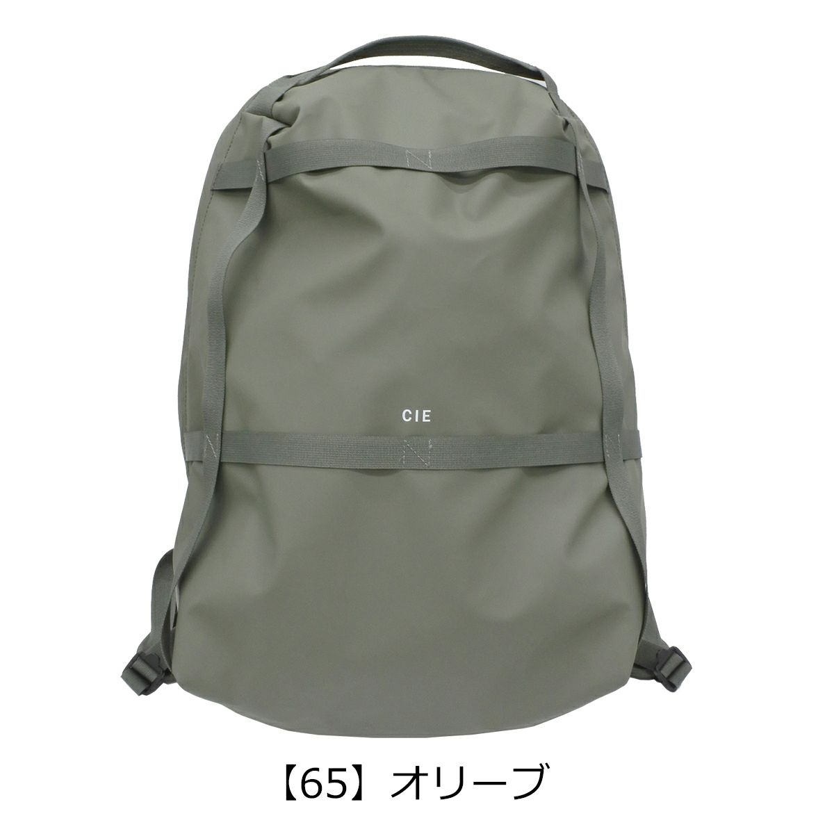 【65】オリーブ