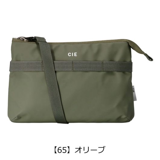 【65】オリーブ