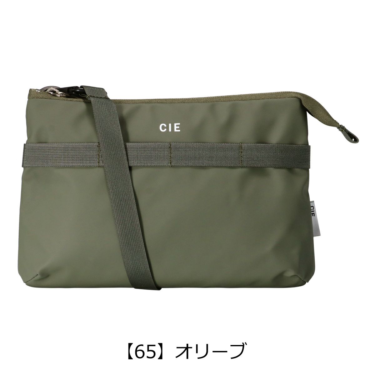 【65】オリーブ