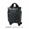 【54001】シルバーチェック