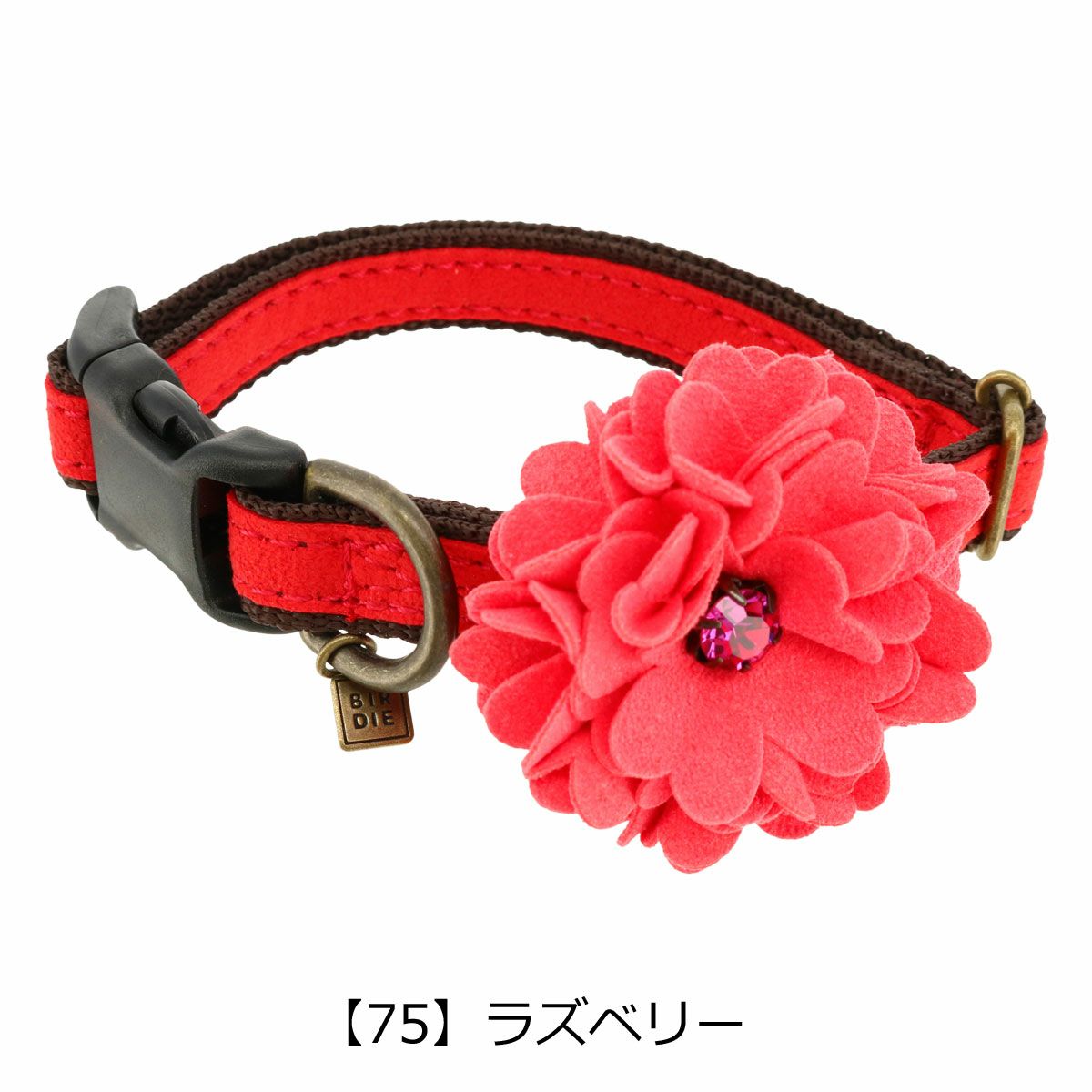 【75】ラズベリー