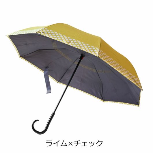 ライム×チェック