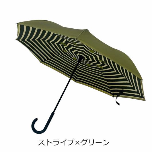 ストライプ×グリーン