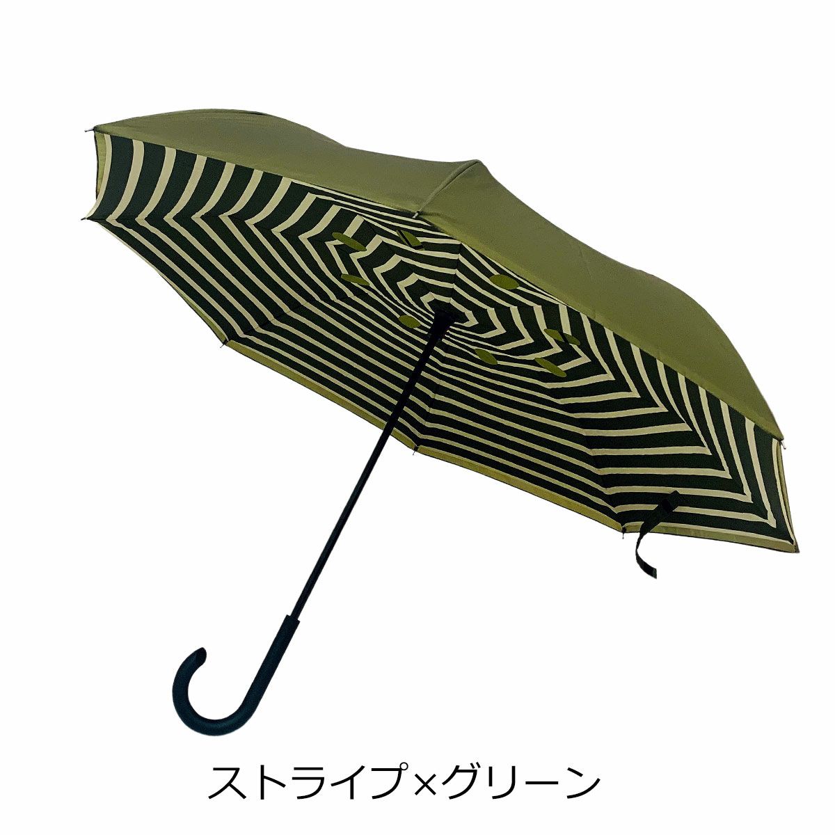 ストライプ×グリーン