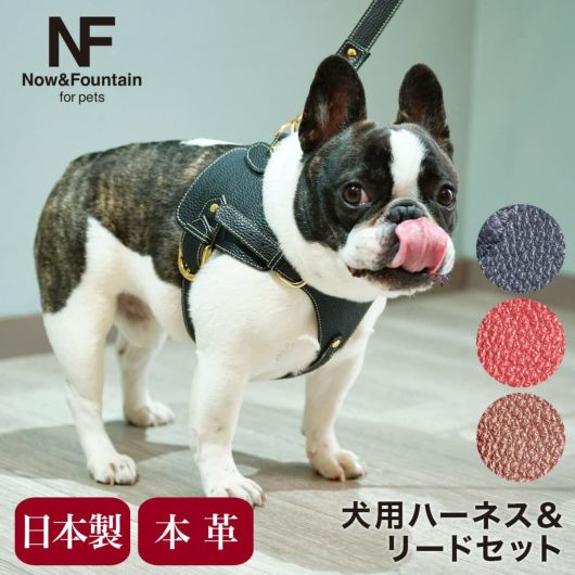 小型犬用 ハーネス、リード - 犬用品