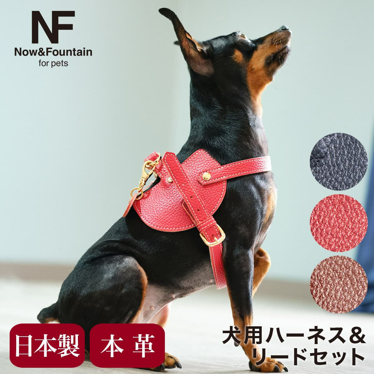 犬用 ヌメ革ドット リード＆ハーネス＆ハンドフリーベルト3点SET