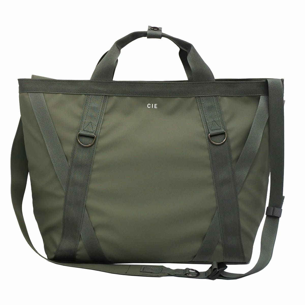 【65】オリーブ