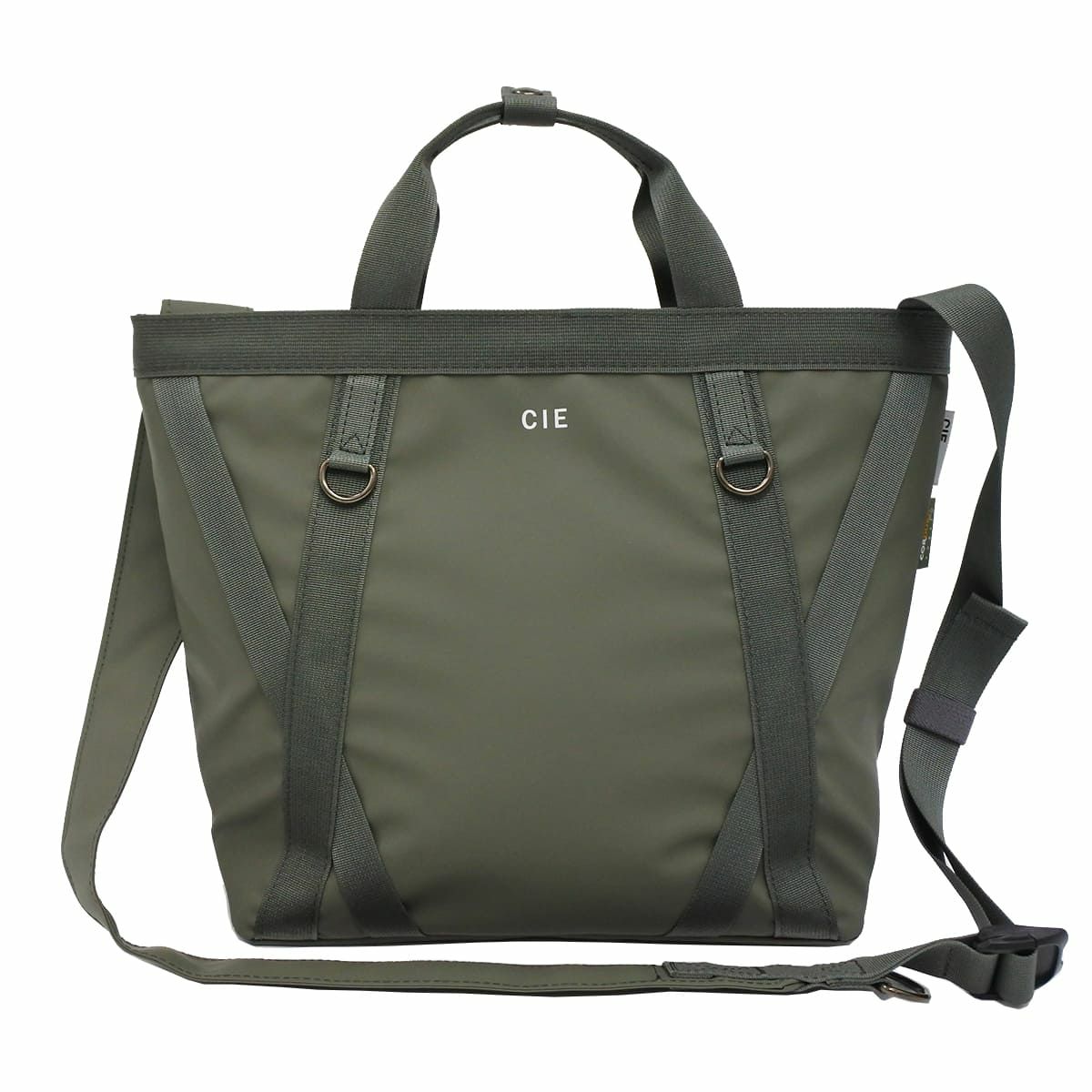 【65】オリーブ