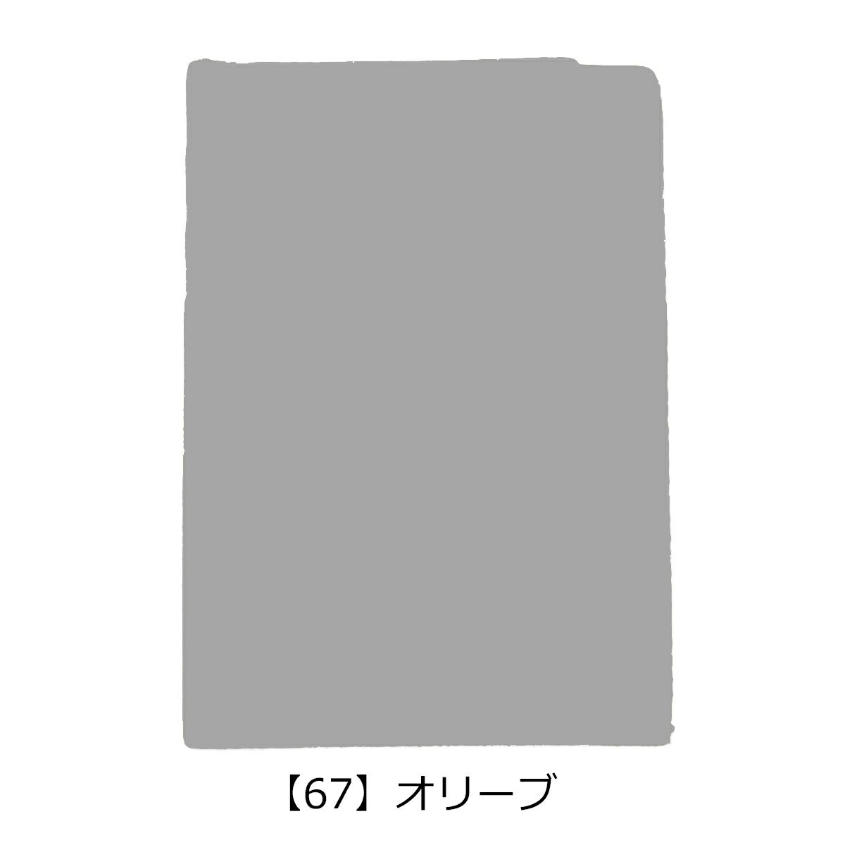 【67】オリーブ