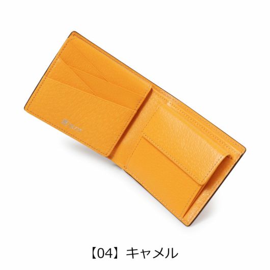  【04】キャメル