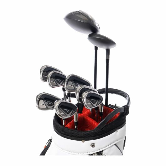 アヴィレックス ゴルフ キャディバッグ カート型 5分割 8.5型 2.6kg 46