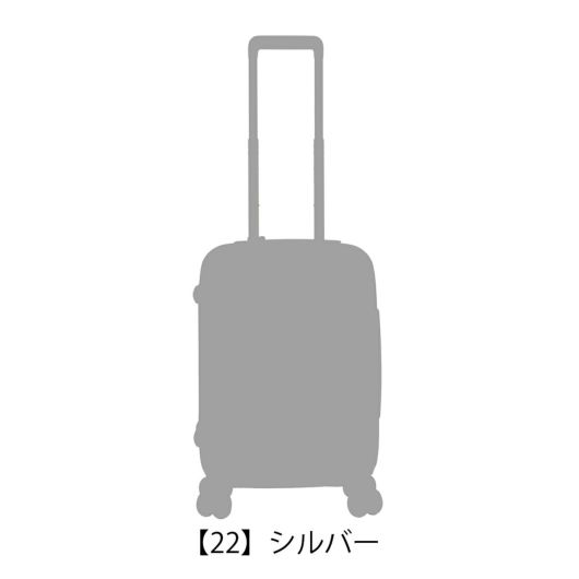 【22】シルバー