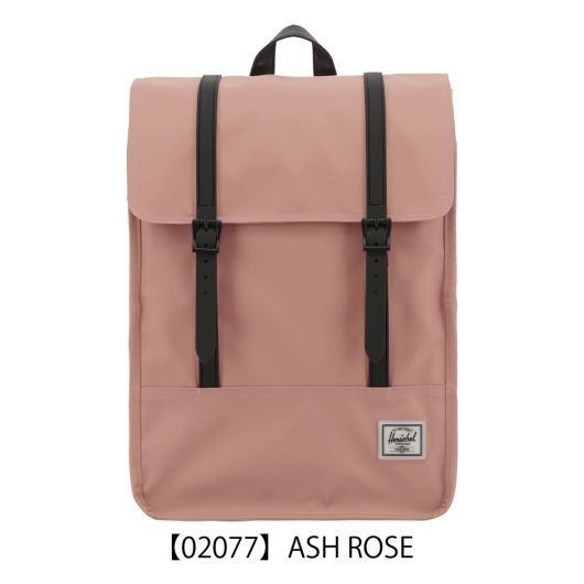 【02077】ASH ROSE