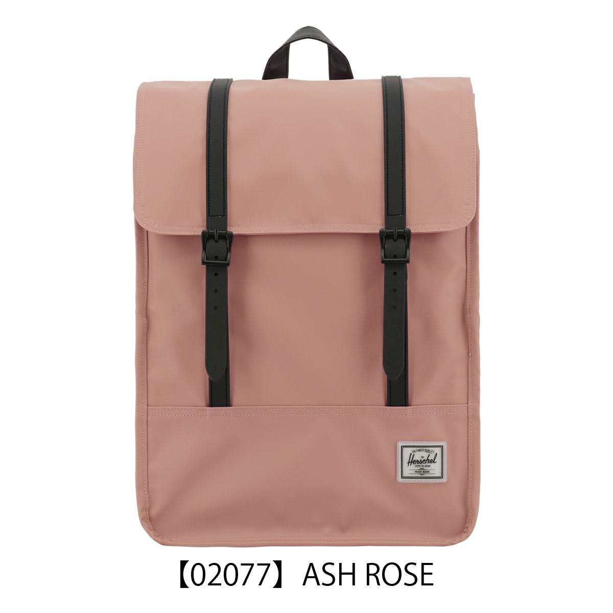 【02077】ASH ROSE