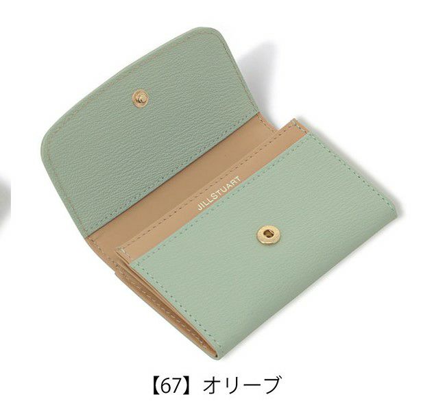 【67】オリーブ