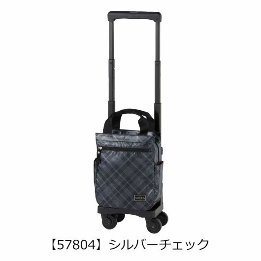 【57804】シルバーチェック