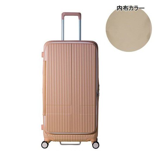 さるとび様専用 innovator INV750dor Snow White