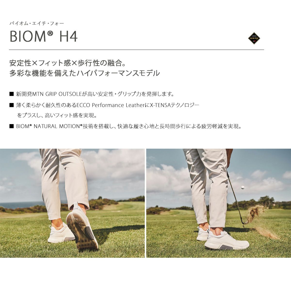 エコー ゴルフ シューズ バイオム エイチ フォー スパイクレス メンズ