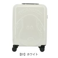 Peanuts SNOOPY Suitcase Carry Bag MINT 32L H55cm Travel
