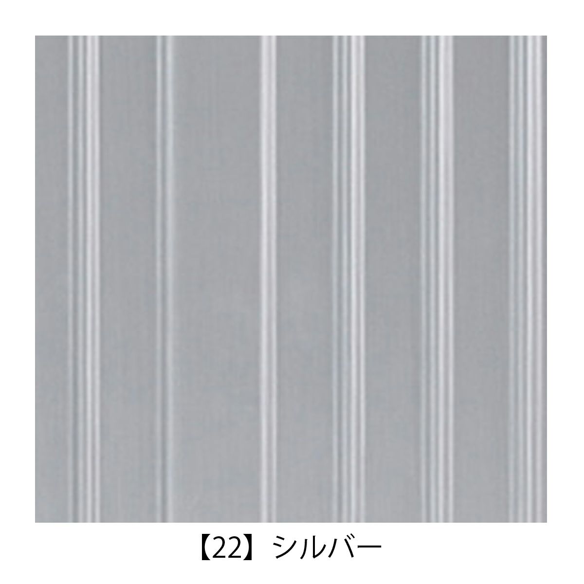 【22】シルバー