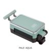 PALE-AQUA