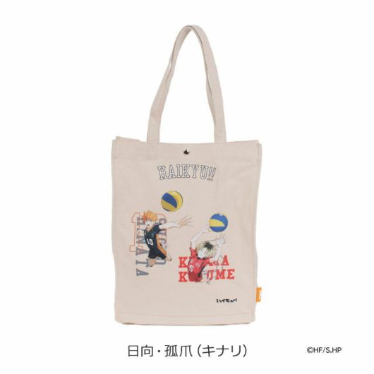 日向・孤爪(キナリ)