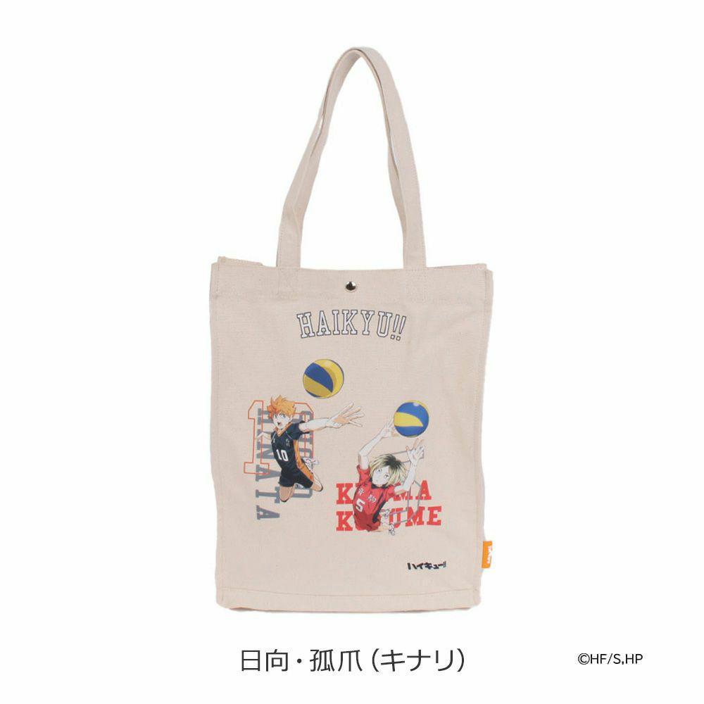 日向・孤爪(キナリ)