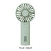 PALE-AQUA