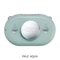 PALE-AQUA