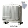 SILVER SAND