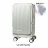 SILVER SAND