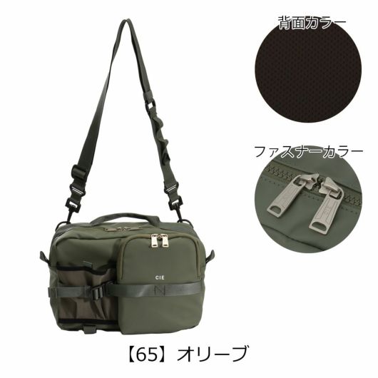 【65】オリーブ