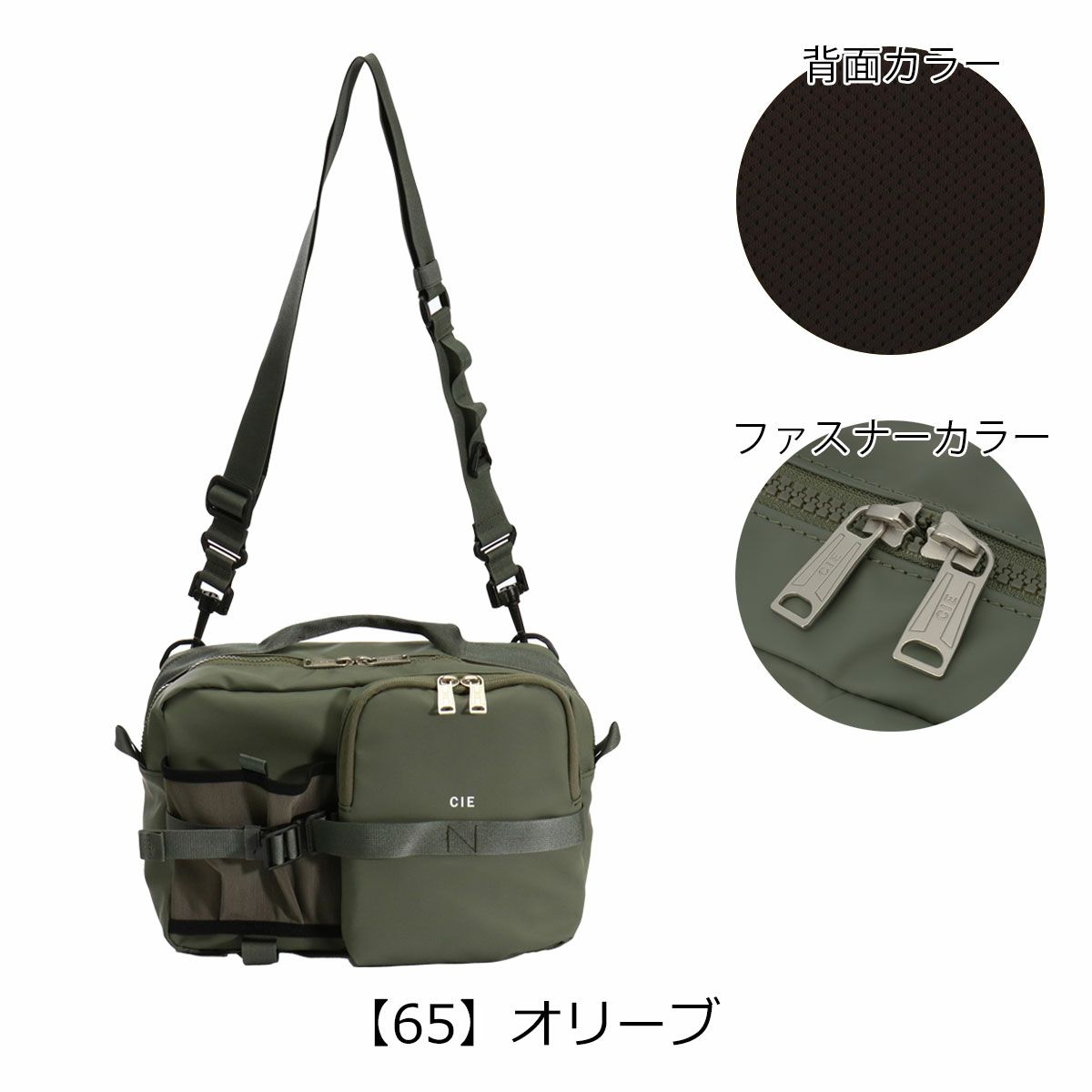 【65】オリーブ