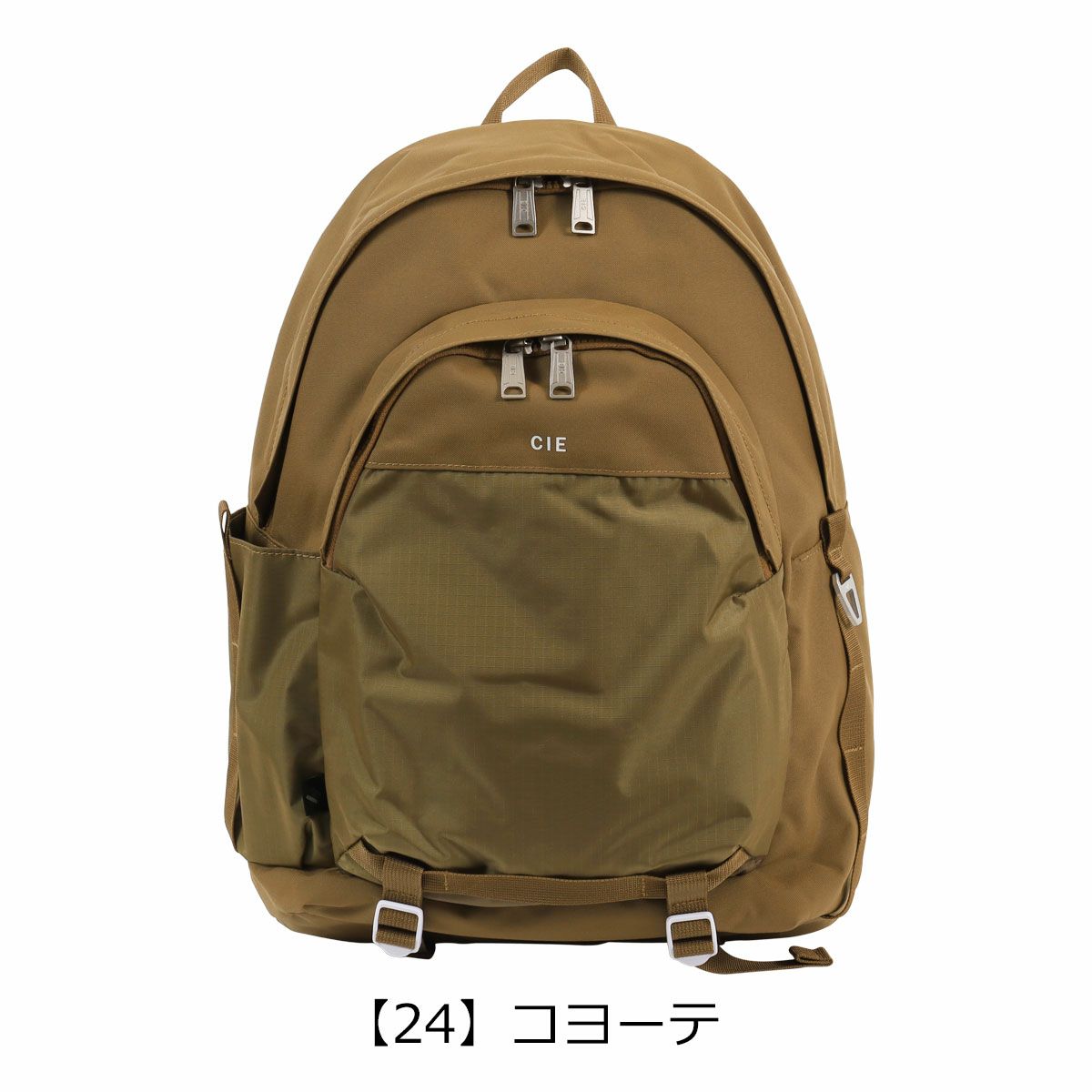 【24】コヨーテ