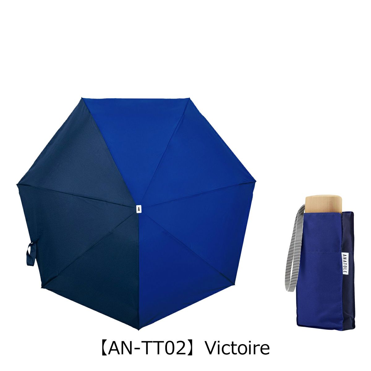 【AN-TT02】Victoire