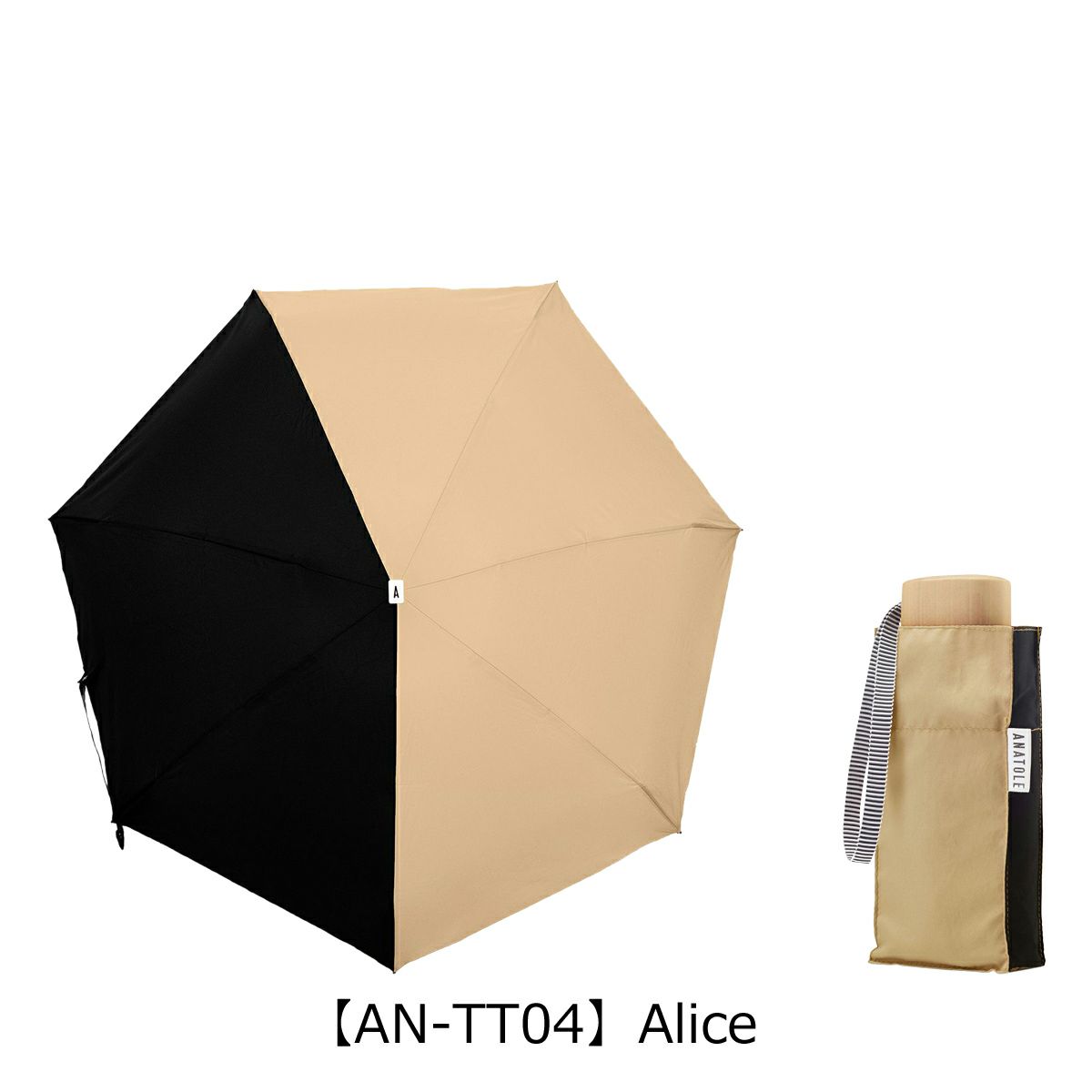 【AN-TT04】Alice