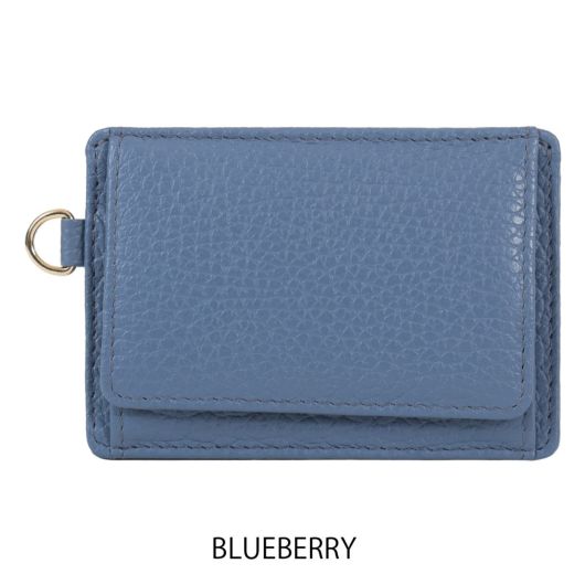 BLUEBERRY