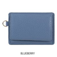 BLUEBERRY