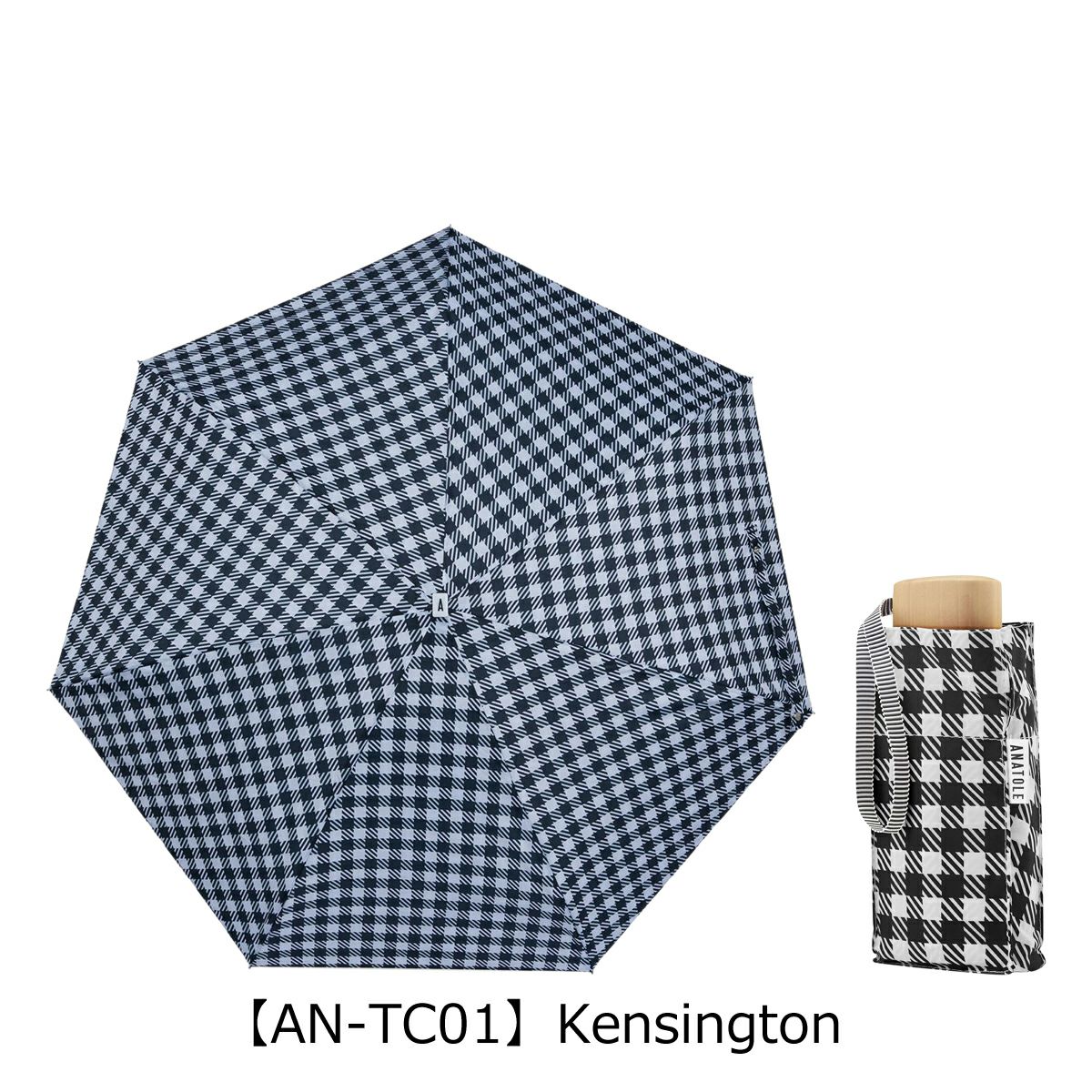 【AN-TC01】Kensington